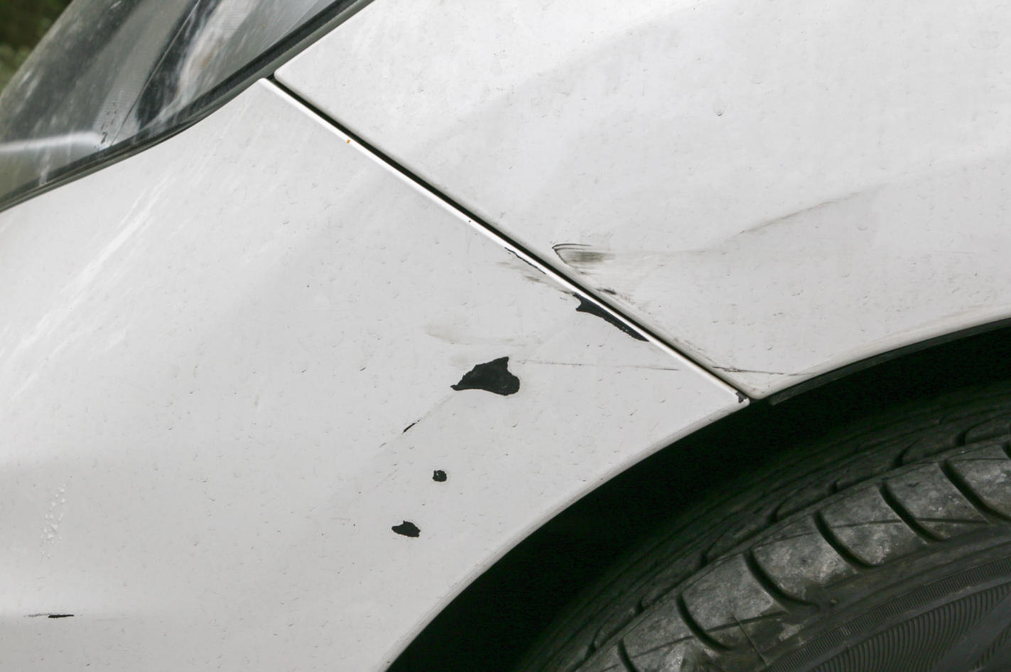 Rock Chips White Car
