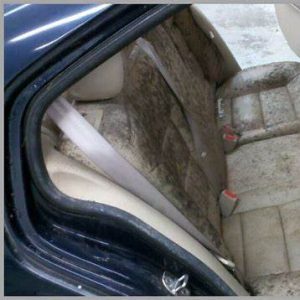 black mold on a car seat