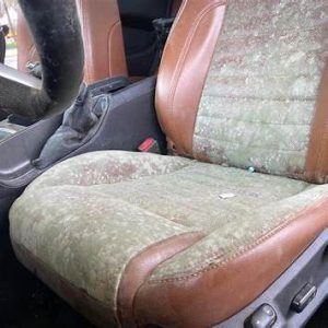 discolored seats from mold